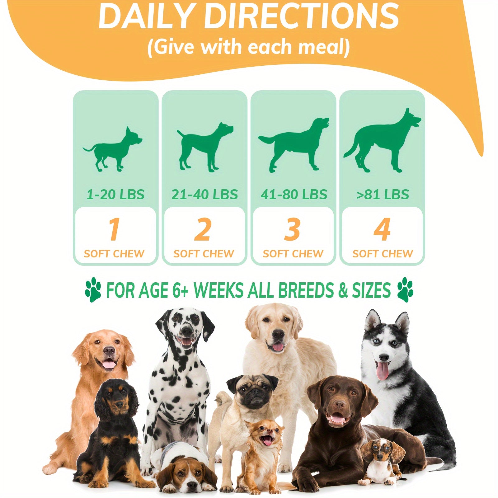 Probiotic Supplement for Dogs - Nourishing Formula for a Healthy Gut
