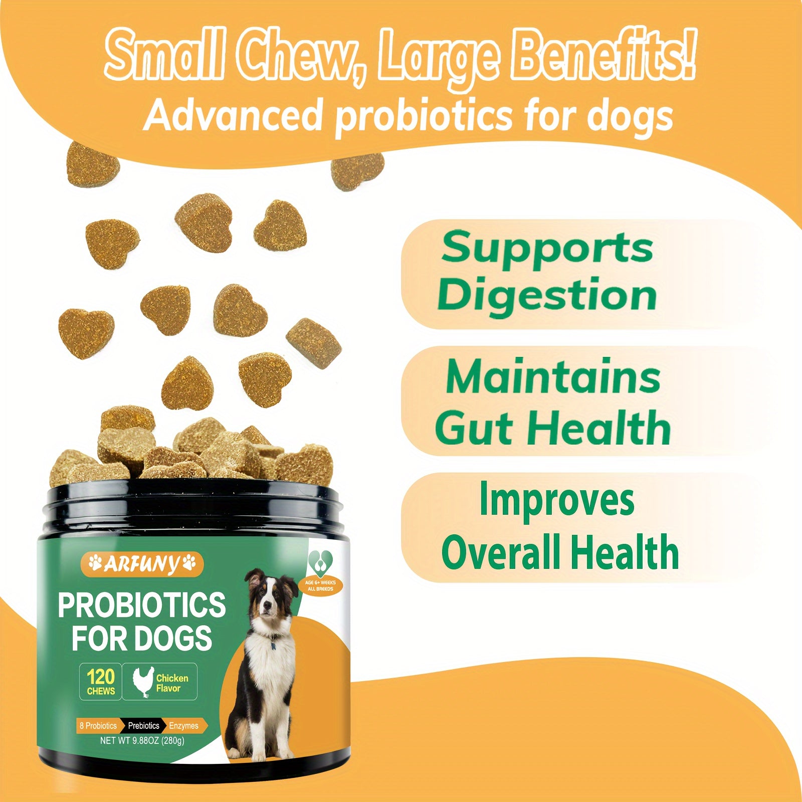 Probiotic Supplement for Dogs - Nourishing Formula for a Healthy Gut
