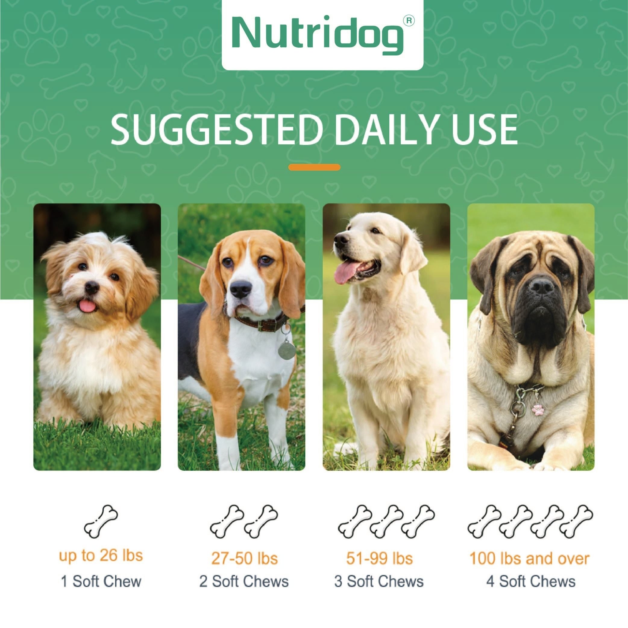 Nutridog Anti-Allergy Dog Chews: Premium Quality, All-Natural Ingredients