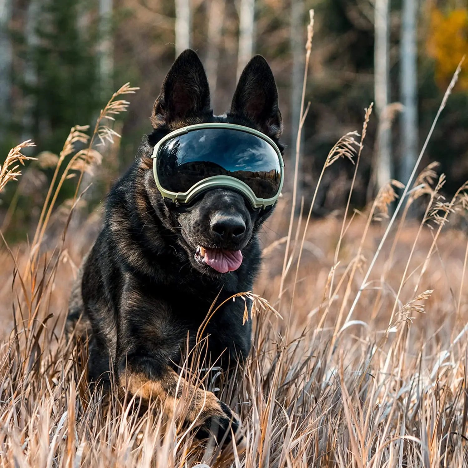 ATUBAN Dog Goggles Anti UV Strong Impact Resistance ( High Quality )
