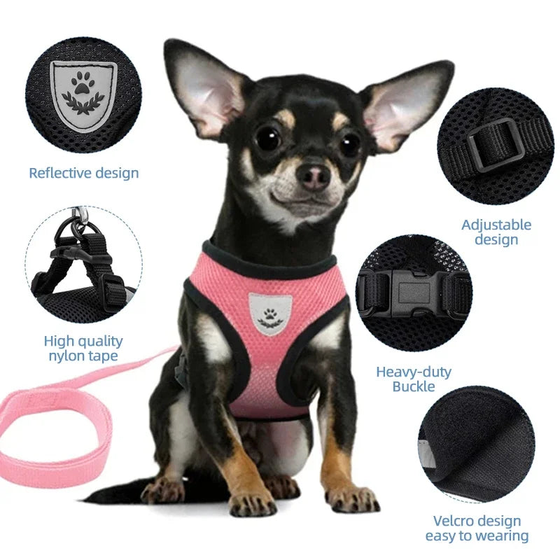 Summer Dog Harness Lead Leash Adjustable