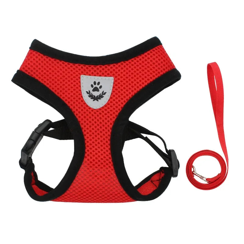 Summer Dog Harness Lead Leash Adjustable