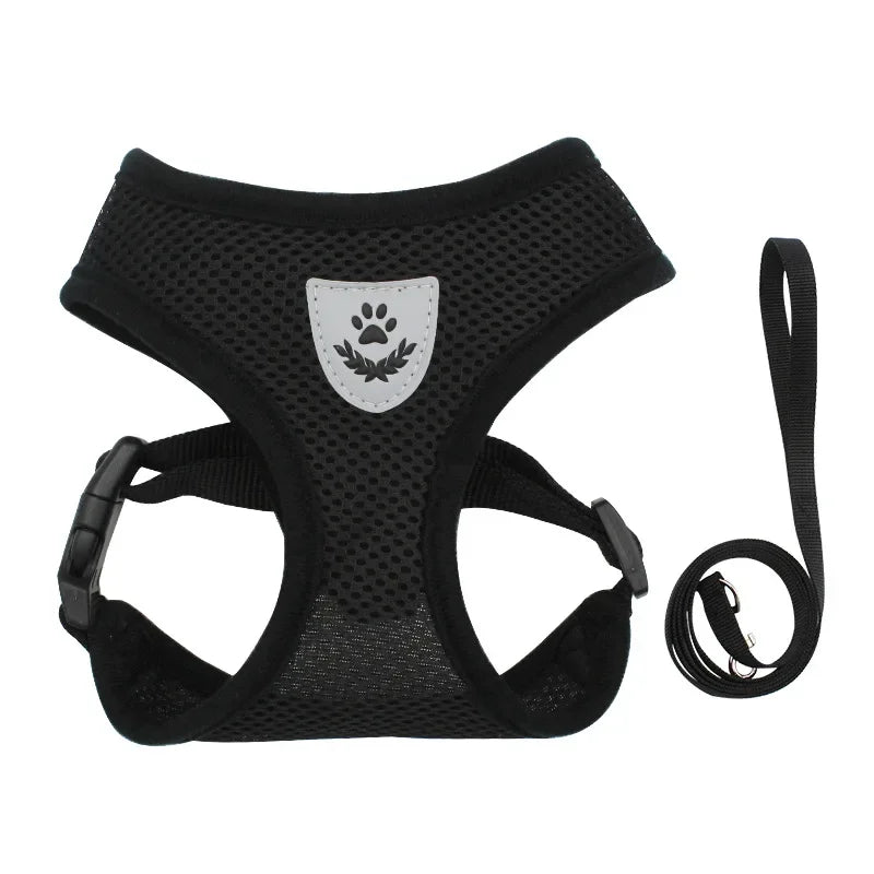 Summer Dog Harness Lead Leash Adjustable