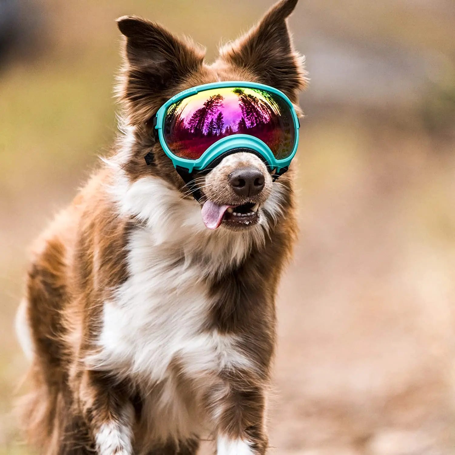 ATUBAN Dog Goggles Anti UV Strong Impact Resistance ( High Quality )
