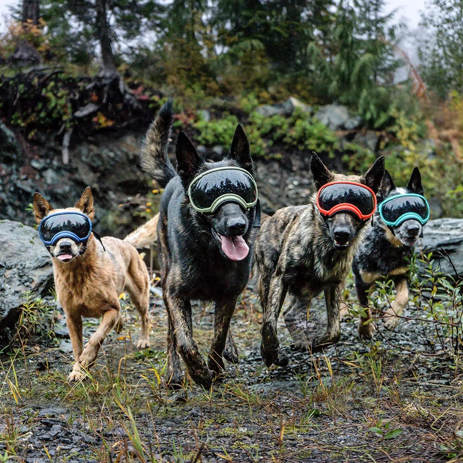 ATUBAN Dog Goggles Anti UV Strong Impact Resistance ( High Quality )