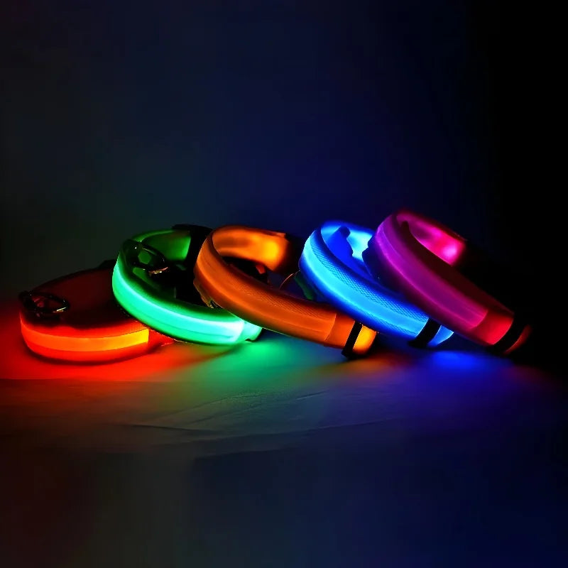 Dog Collar Nylon LED For Night