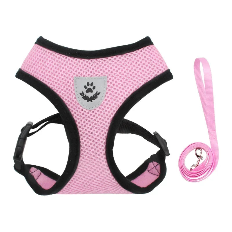 Summer Dog Harness Lead Leash Adjustable