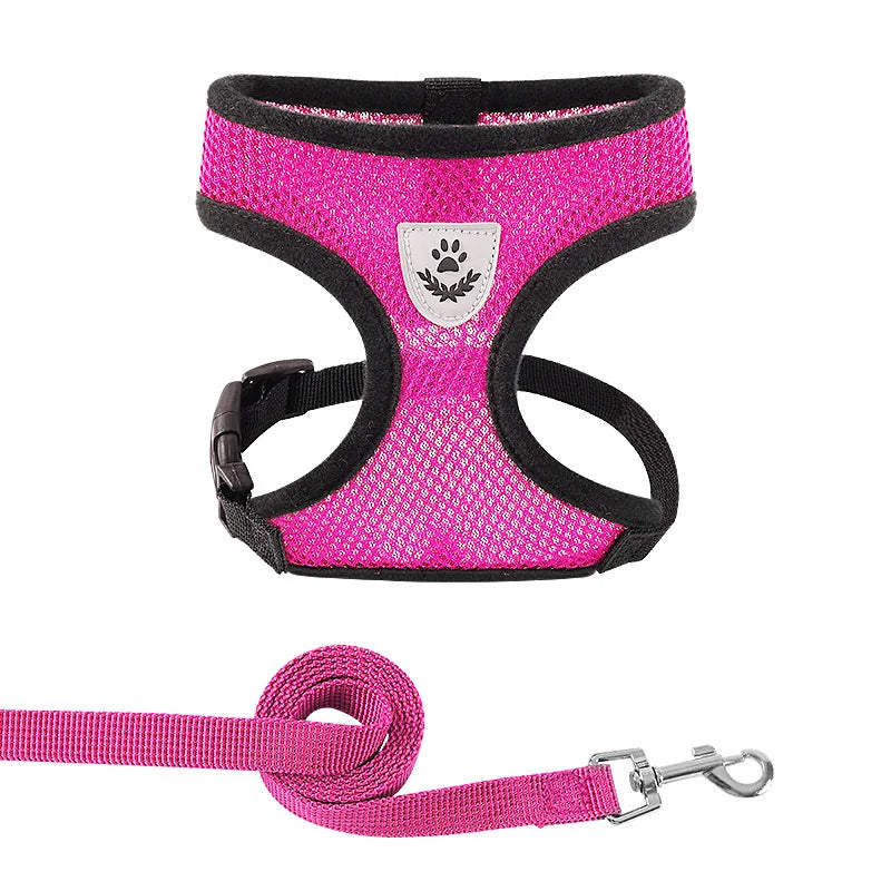 Summer Dog Harness Lead Leash Adjustable