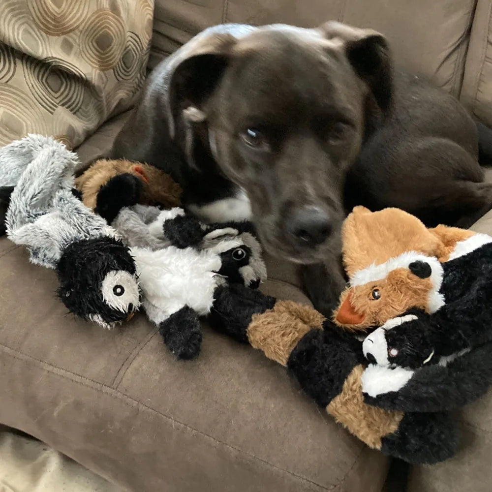 Dog Toy with Squeakers Durable Stuffingless