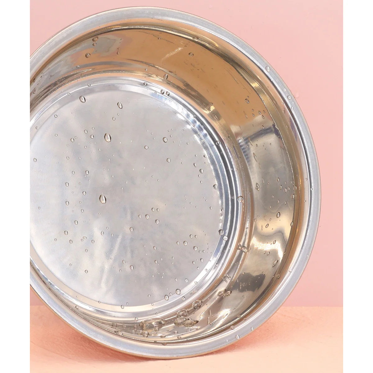 A pet stainless steel cat and dog bowl