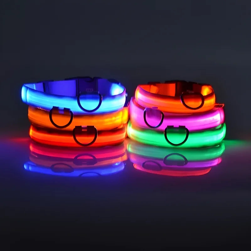 Dog Collar Nylon LED For Night