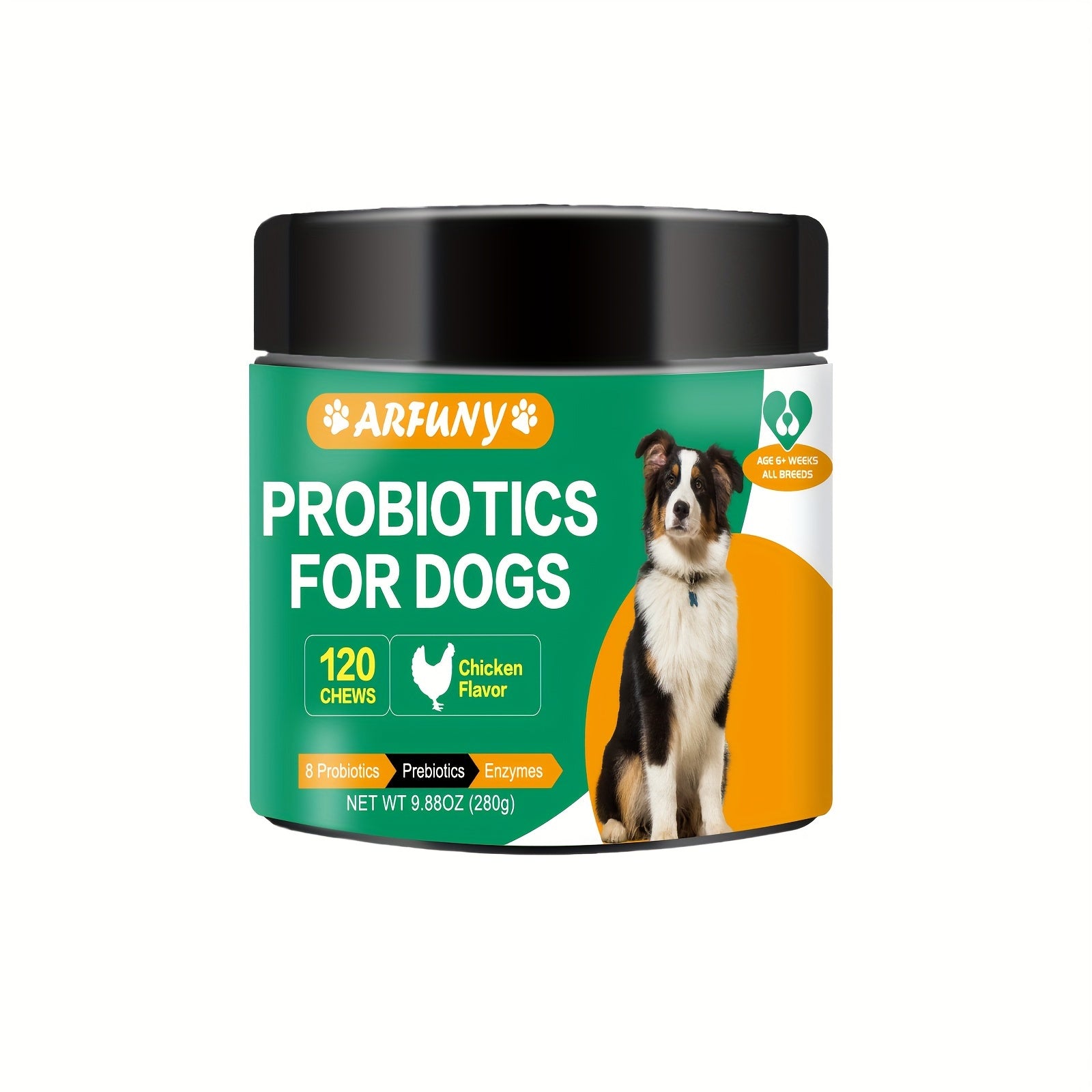 Probiotic Supplement for Dogs - Nourishing Formula for a Healthy Gut