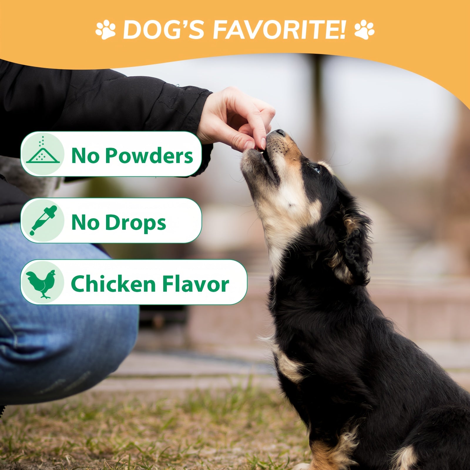 Probiotic Supplement for Dogs - Nourishing Formula for a Healthy Gut