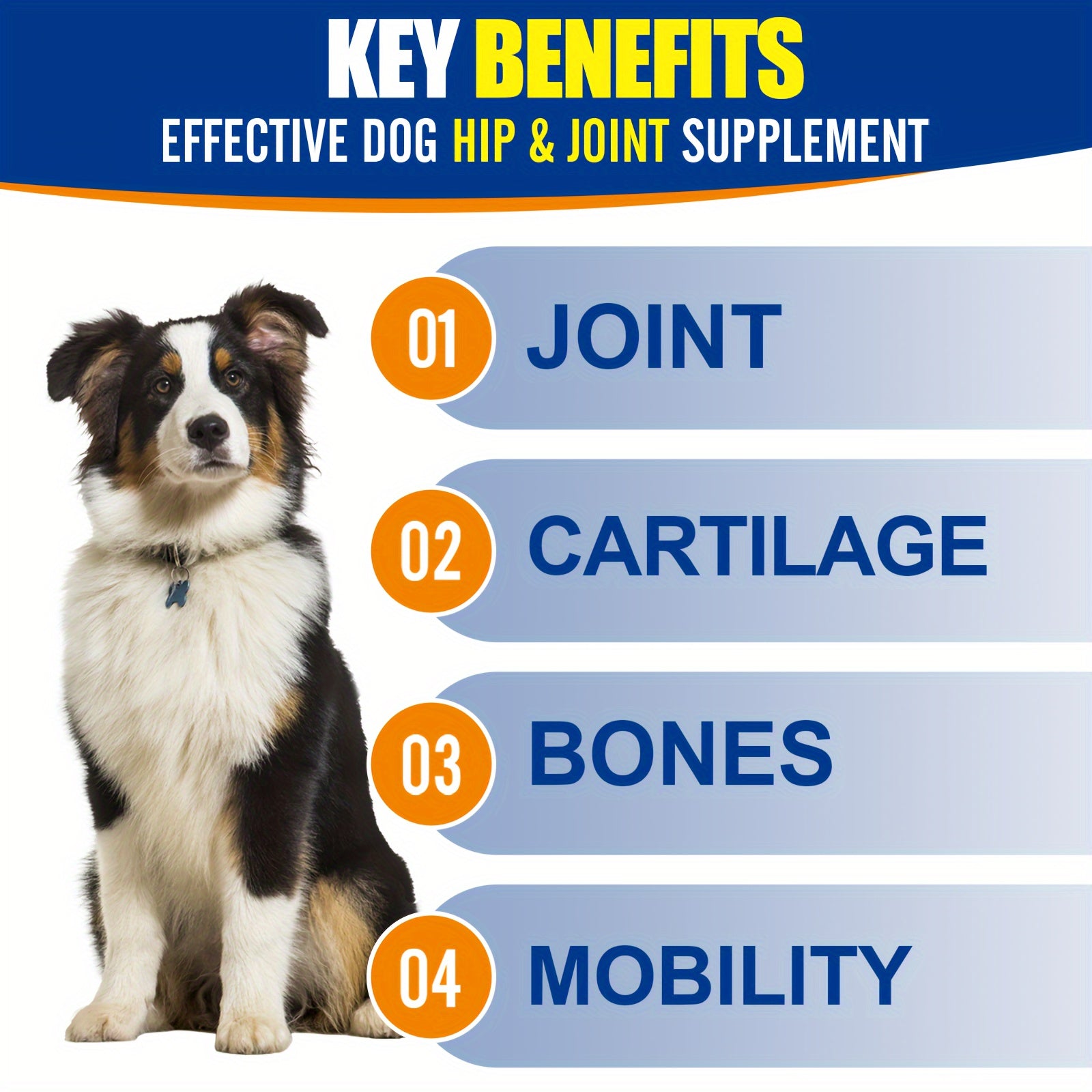Hip & Joint Supplement For Dogs, 10oz Glucosamin , Chicken Flavor