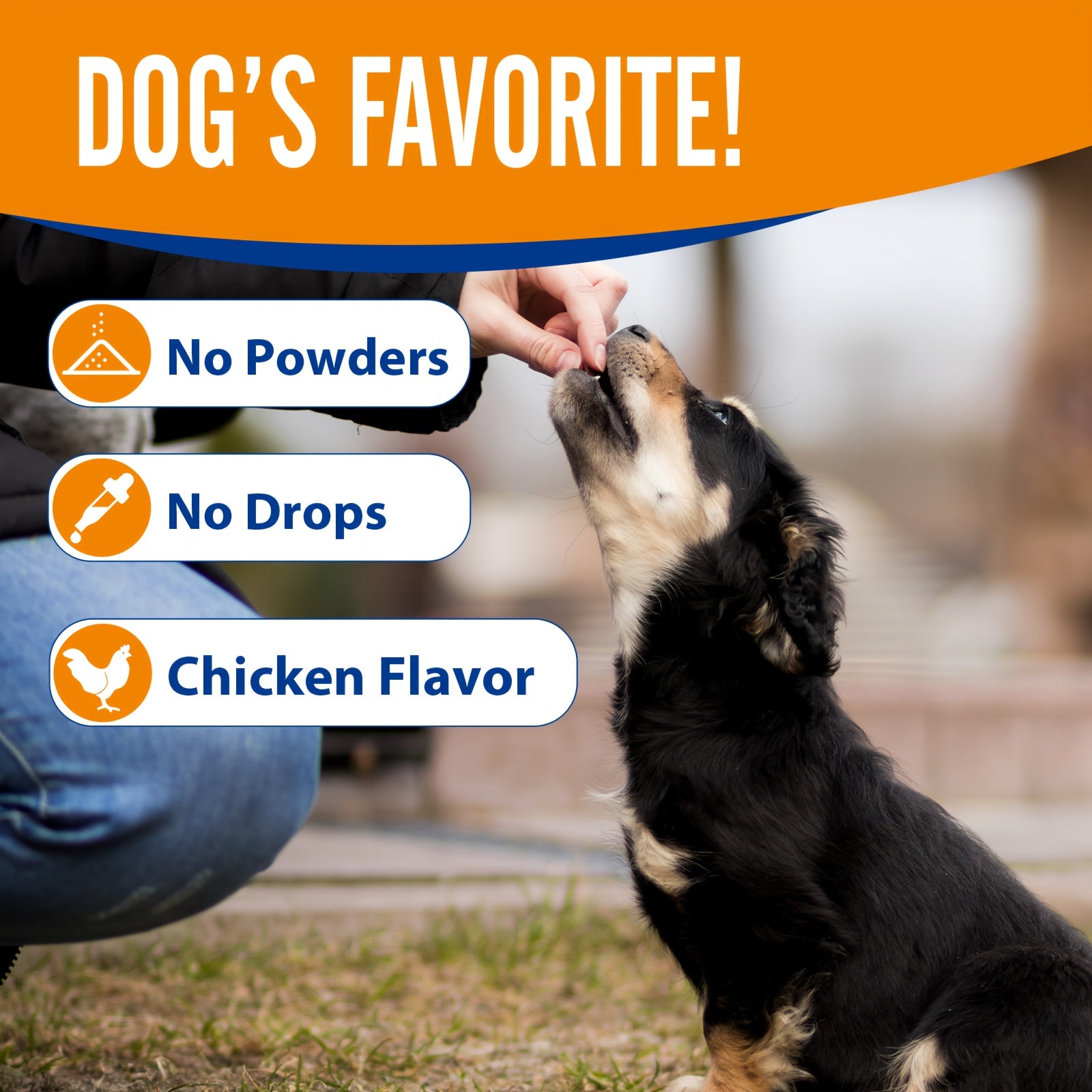 Hip & Joint Supplement For Dogs, 10oz Glucosamin , Chicken Flavor