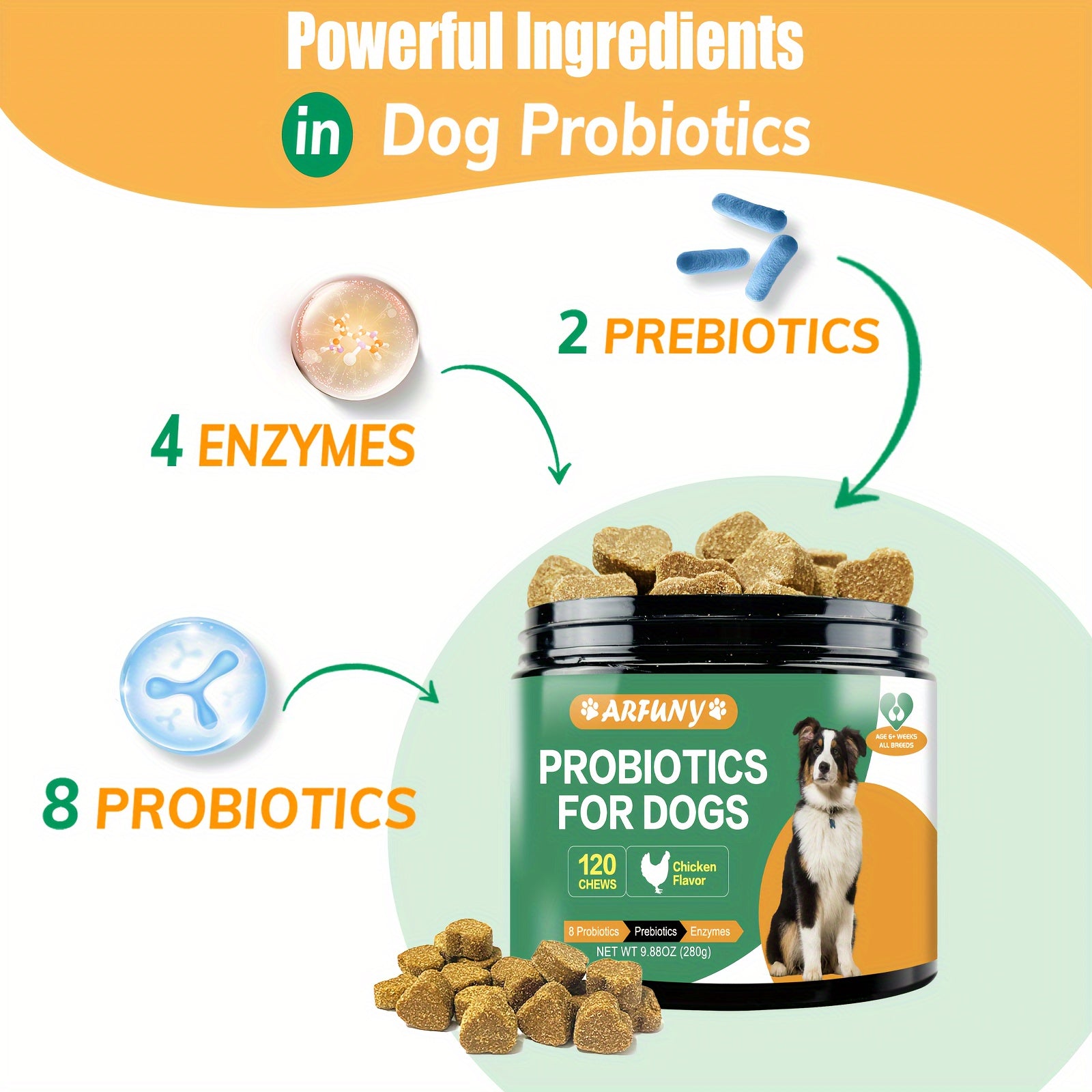 Probiotic Supplement for Dogs - Nourishing Formula for a Healthy Gut