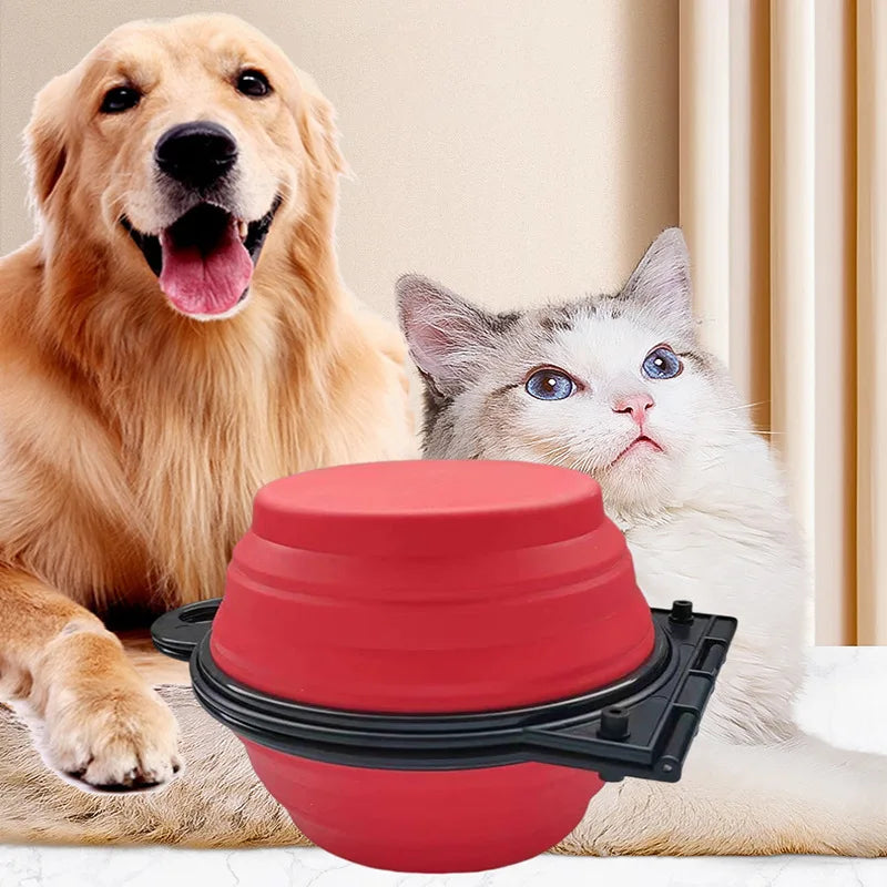 Portable Dog Double Bowl 2 In 1