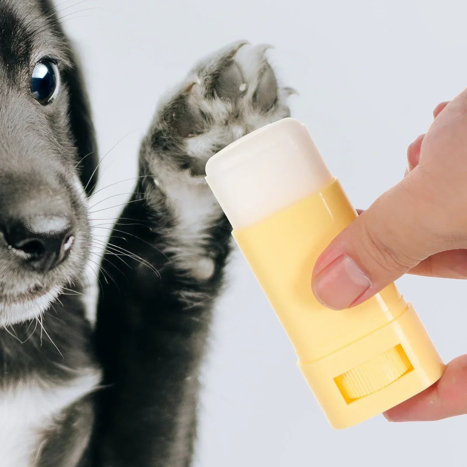 Pet Paw Balm Cat Dog Caring 15g