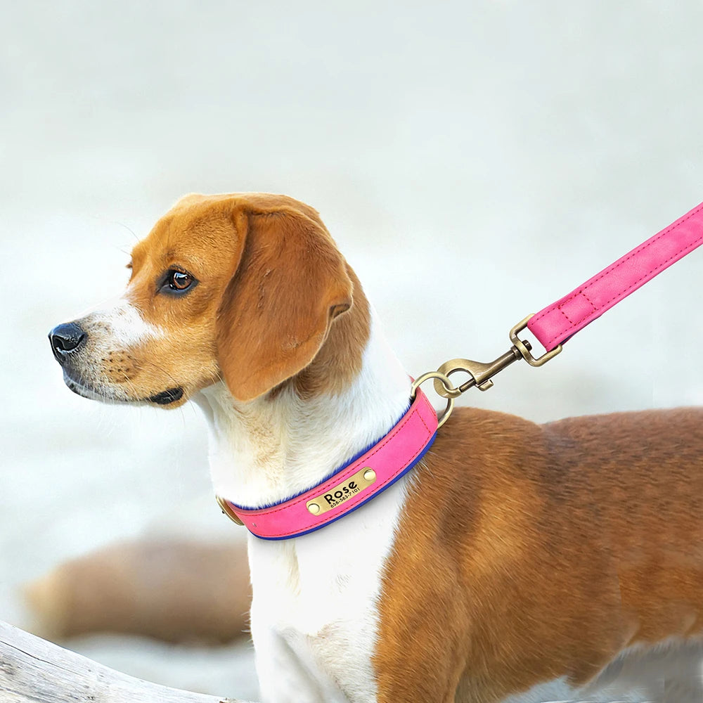 Customized Leather Dog Collar Leash Set