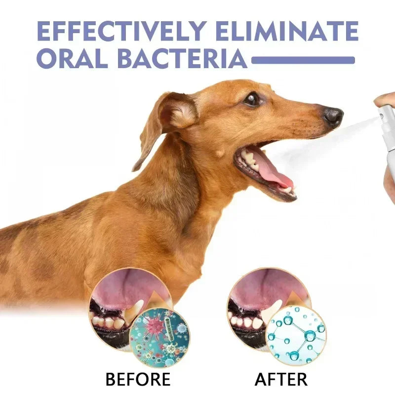Pet Teeth Cleaning Spray Oral