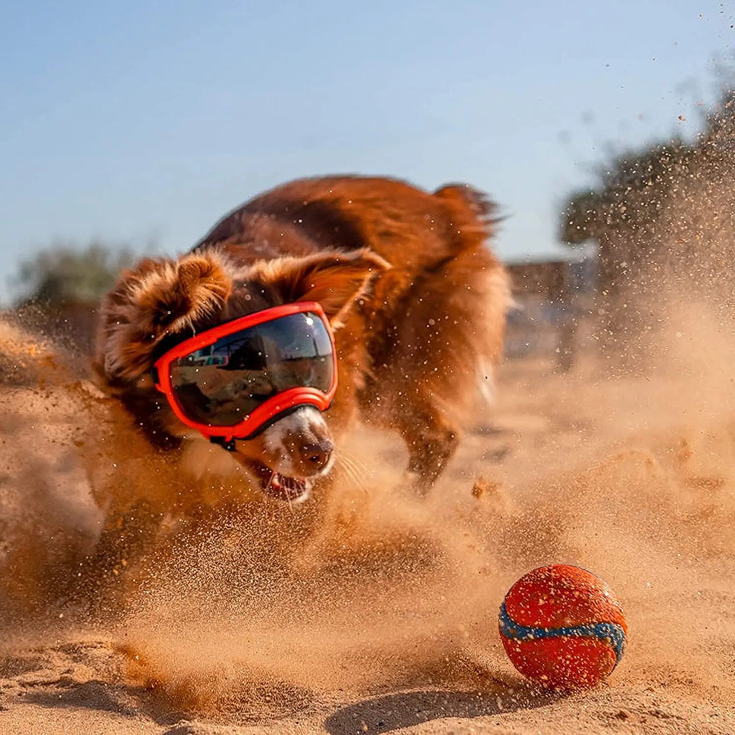 ATUBAN Dog Goggles Anti UV Strong Impact Resistance ( High Quality )