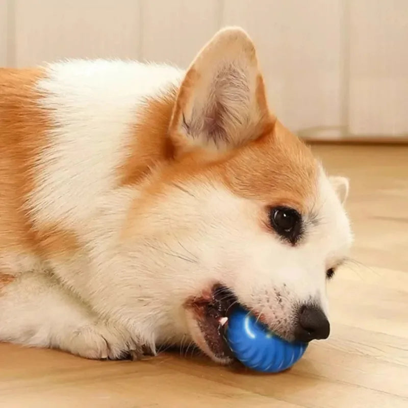 Dog Toy Ball Automatic Moving