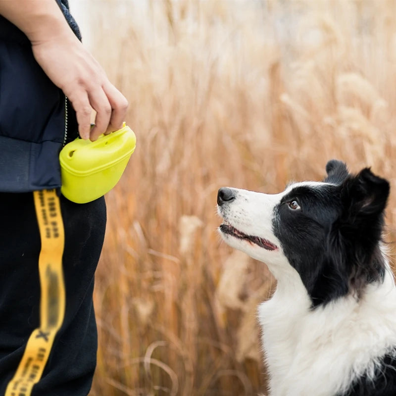 Pet Portable Dog Training