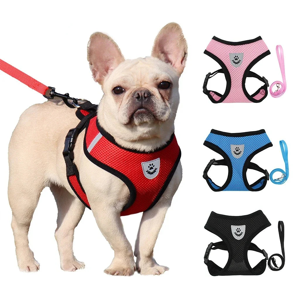 Summer Dog Harness Lead Leash Adjustable