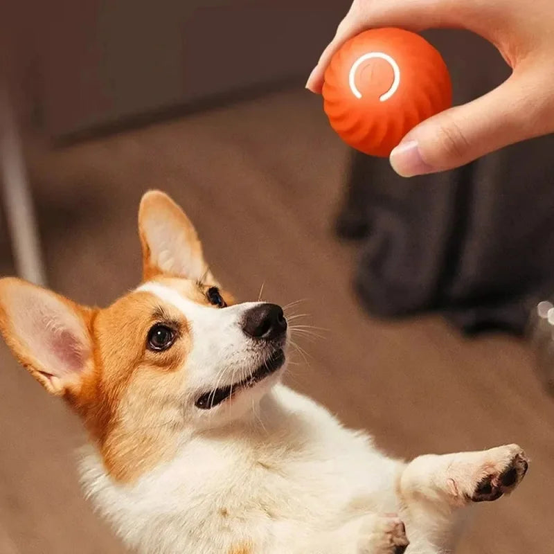 Dog Toy Ball Automatic Moving