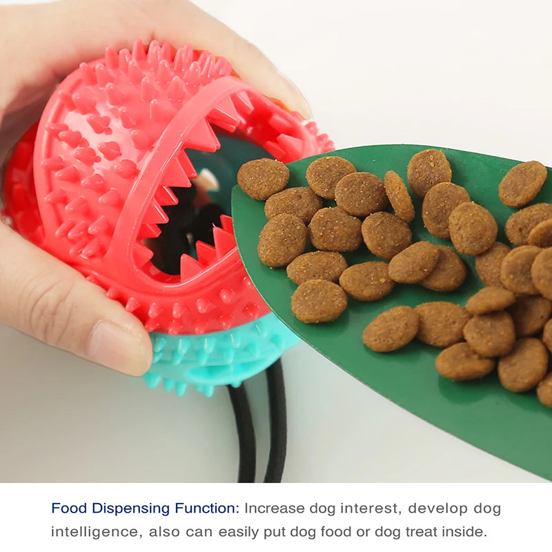 Large Dog Ball Toys Suction