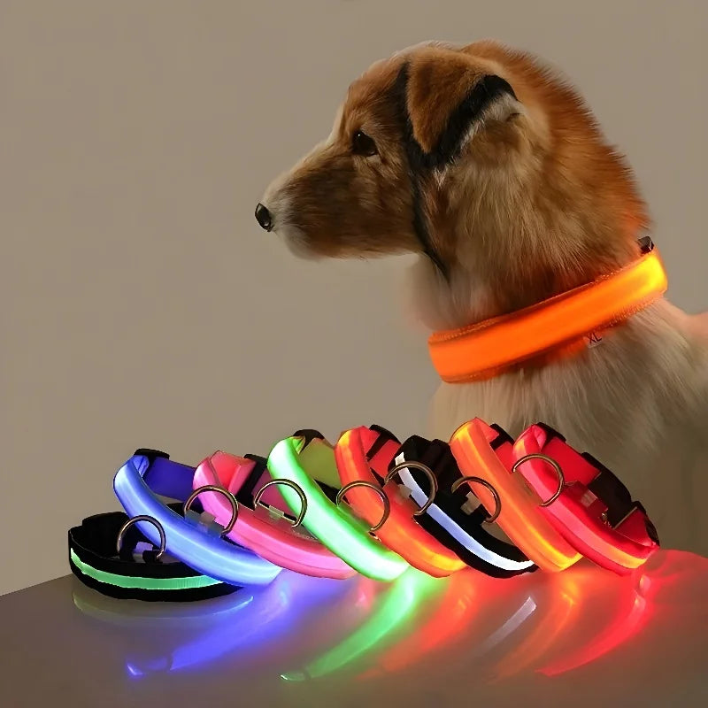 Dog Collar Nylon LED For Night