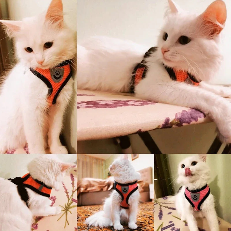 Summer Dog Harness Lead Leash Adjustable
