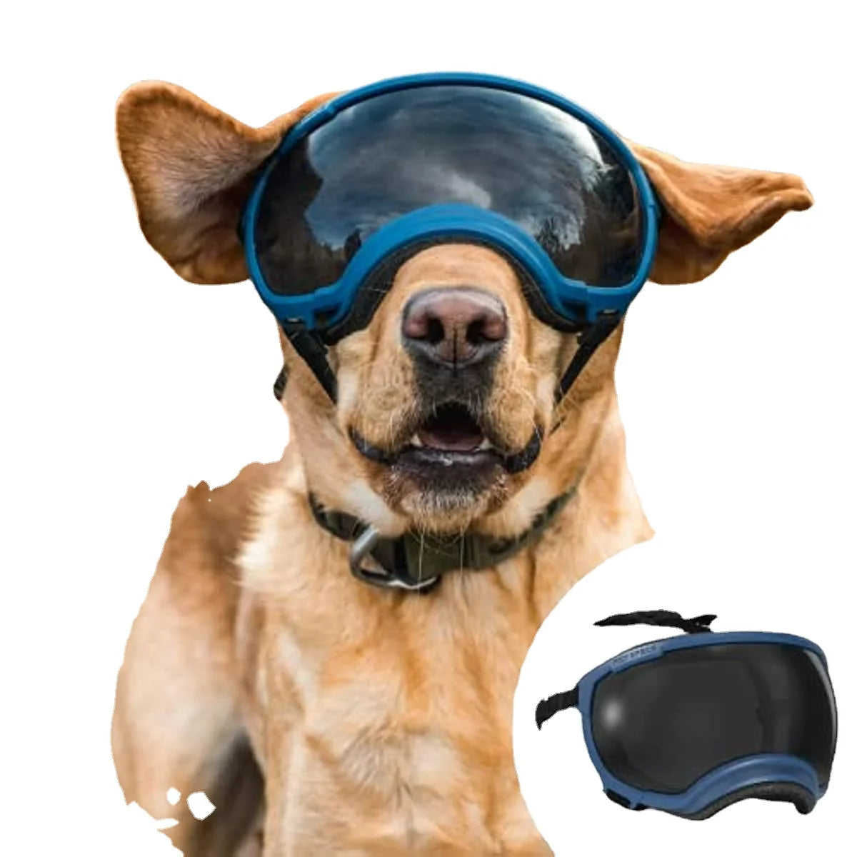 ATUBAN Dog Goggles Anti UV Strong Impact Resistance ( High Quality )